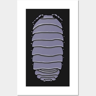 Armadillidium Vulgare isopod Posters and Art